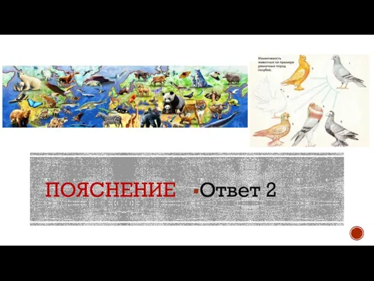 ПОЯСНЕНИЕ Ответ 2