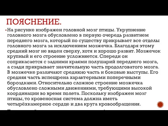 ПОЯСНЕНИЕ. На рисунке изображен головной мозг птицы. Укрупнение головного мозга обусловлено в