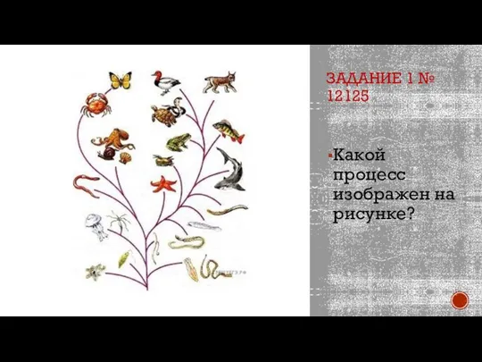 ЗАДАНИЕ 1 № 12125 Какой процесс изображен на рисунке?