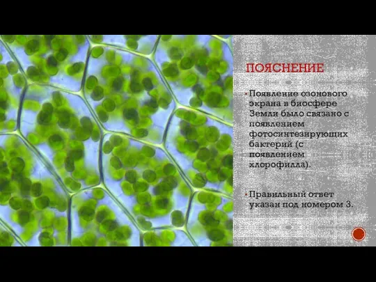 ПОЯСНЕНИЕ Появление озонового экрана в биосфере Земли было связано с появлением фотосинтезирующих