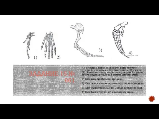 ЗАДАНИЕ 15 № 661 На рисунке показаны кости конечностей птицы (1), человека