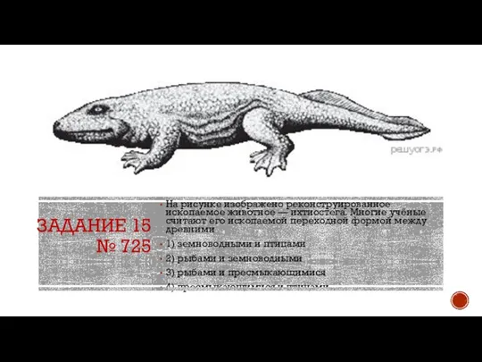 ЗАДАНИЕ 15 № 725 На рисунке изображено реконструированное ископаемое животное — ихтиостега.