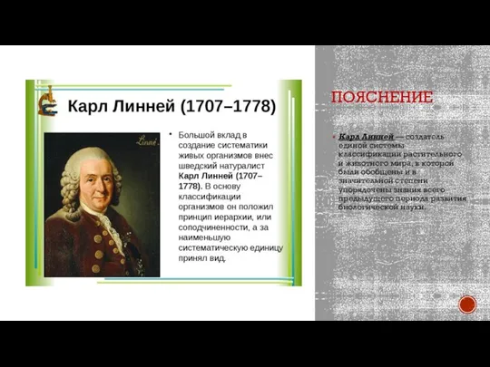 ПОЯСНЕНИЕ Карл Линней — создатель единой системы классификации растительного и животного мира,