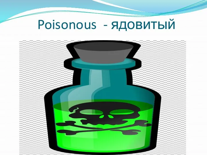 Poisonous - ядовитый
