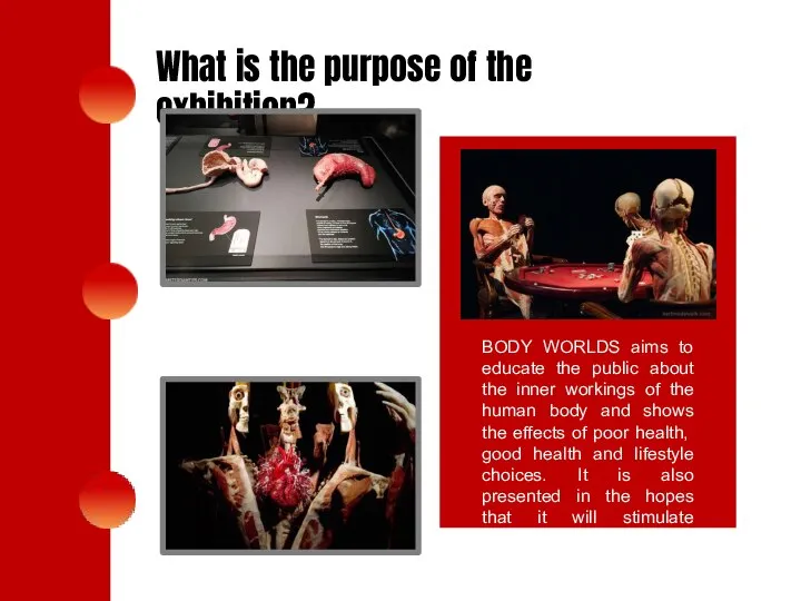 What is the purpose of the exhibition? BODY WORLDS aims to educate