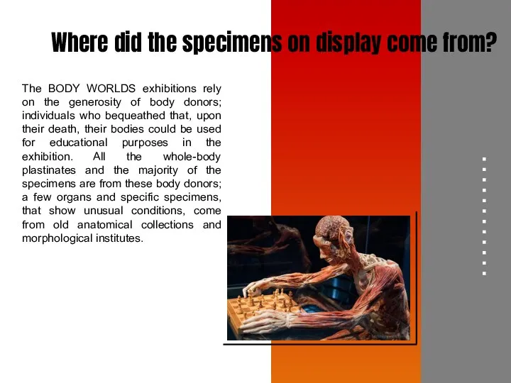 BODY WORLDS aims to educate the public about the inner workings of