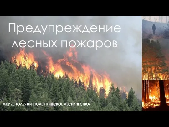 Предупреждение лесных пожаров