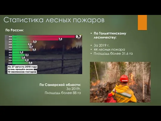 Статистика лесных пожаров По России: По Самарской области: За 2019г. Площадь более