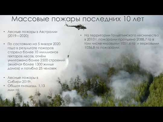 Массовые пожары последних 10 лет На территории Тольяттинского лесничества в 2010 г.