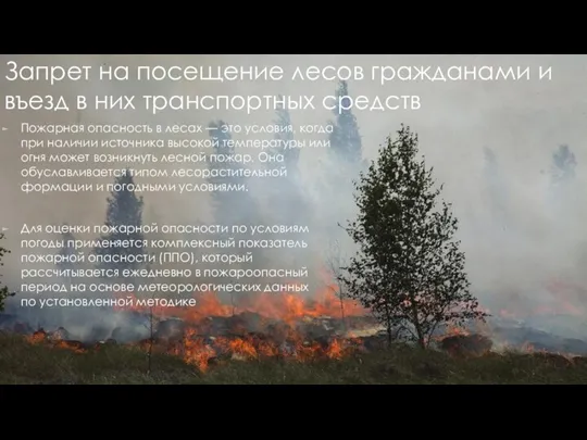 Пожарная опасность в лесах — это условия, когда при наличии источника высокой