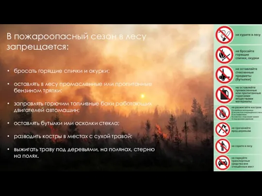 В пожароопасный сезон в лесу запрещается: бросать горящие спички и окурки; оставлять