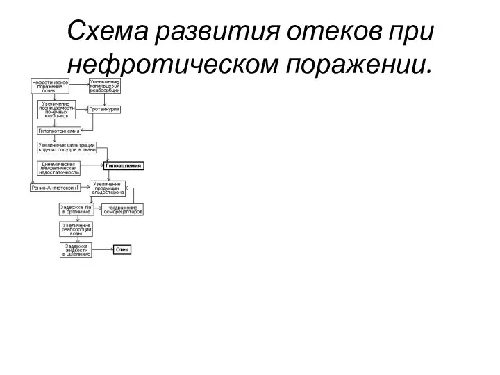 Схема развития отеков при нефротическом поражении.