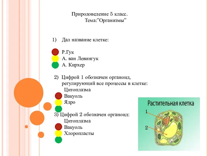 Природоведение 5 класс. Тема:”Организмы” Дал название клетке: Р.Гук А. ван Левингук А.