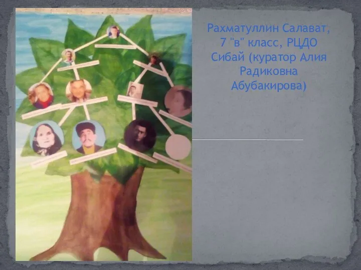 Рахматуллин Салават, 7 "в" класс, РЦДО Сибай (куратор Алия Радиковна Абубакирова)