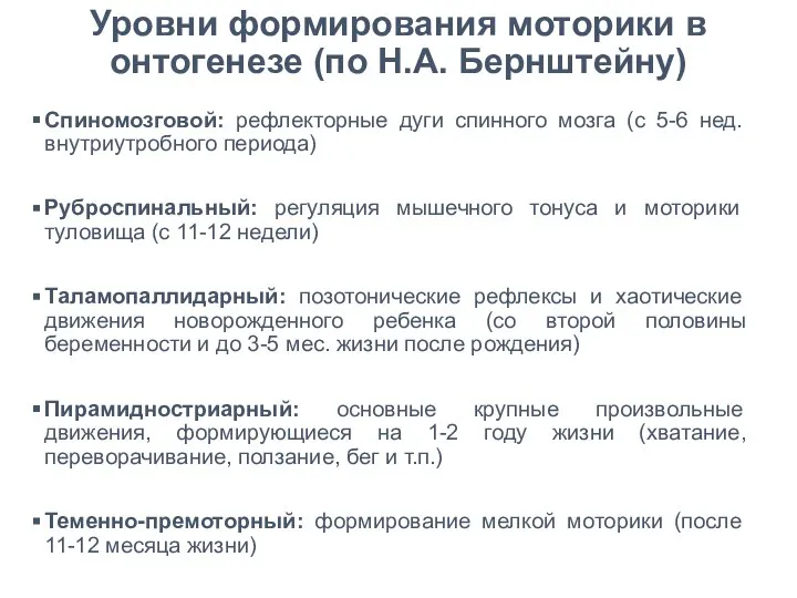 Уровни формирования моторики в онтогенезе (по Н.А. Бернштейну) Спиномозговой: рефлекторные дуги спинного