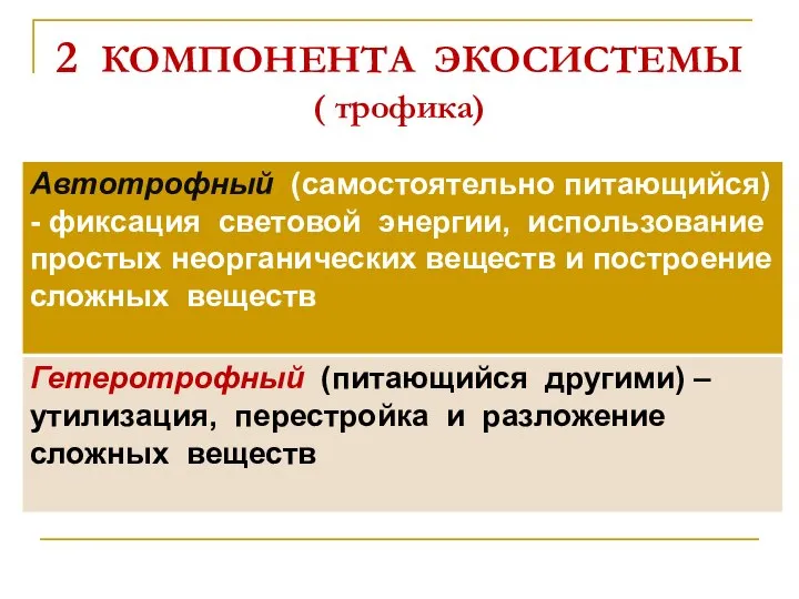 2 КОМПОНЕНТА ЭКОСИСТЕМЫ ( трофика)