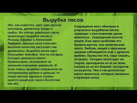 Лес, как известно, дает нам чистый кислород, древесину ягоды и грибы. Но