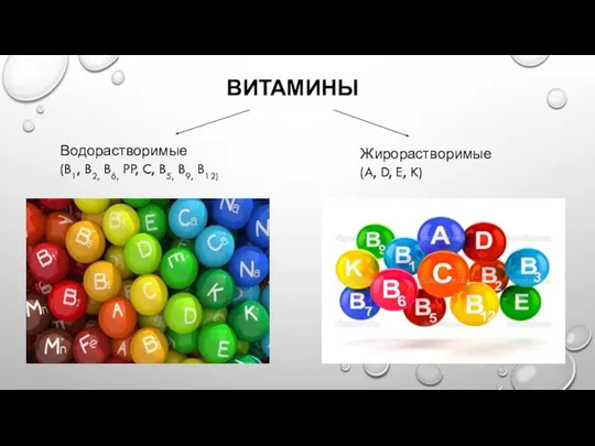 ВИТАМИНЫ Водорастворимые (B1, B2, B6, PP, C, B5, B9, B12) Жирорастворимые (A, D, E, K)