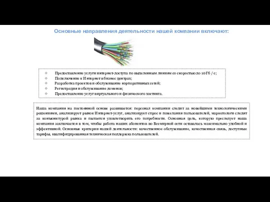 Основные направления деятельности нашей компании включают: Предоставление услуги интернет-доступа по выделенным линиям