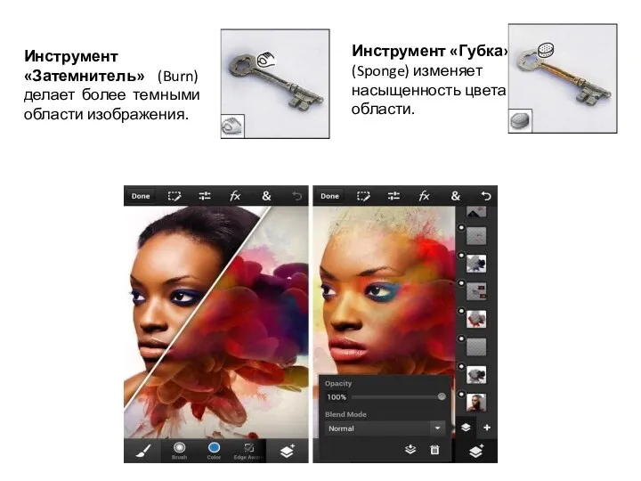 Инструмент «Затемнитель» (Burn) делает более темными области изображения. Инструмент «Губка» (Sponge) изменяет насыщенность цвета в области.