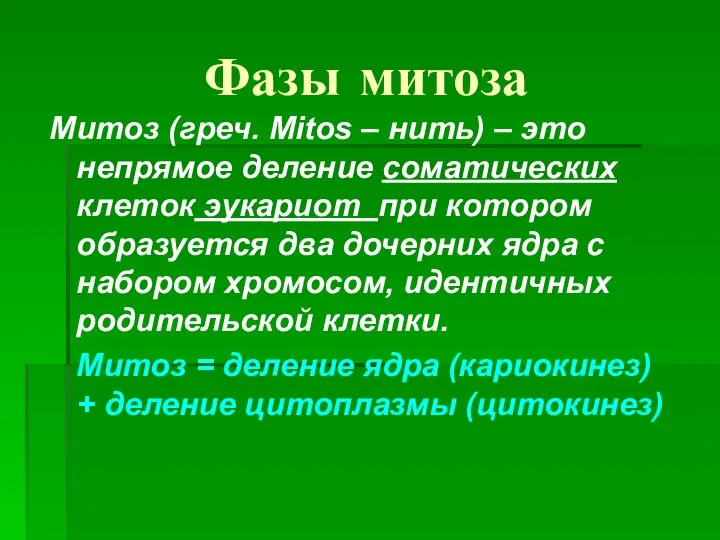 Фазы митоза Митоз (греч. Mitos – нить) – это непрямое деление соматических