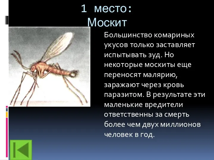 1 место: Москит Большинство комариных укусов только заставляет испытывать зуд. Но некоторые