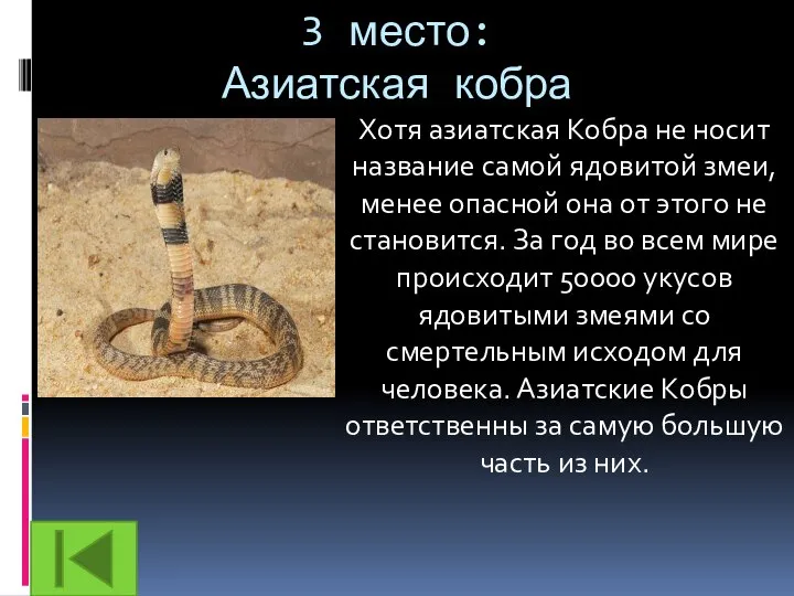 3 место: Азиатская кобра Хотя азиатская Кобра не носит название самой ядовитой