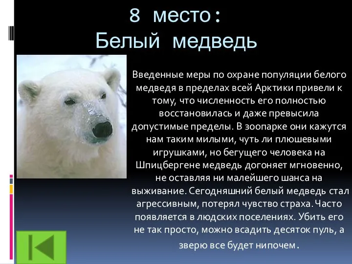 8 место: Белый медведь Введенные меры по охране популяции белого медведя в