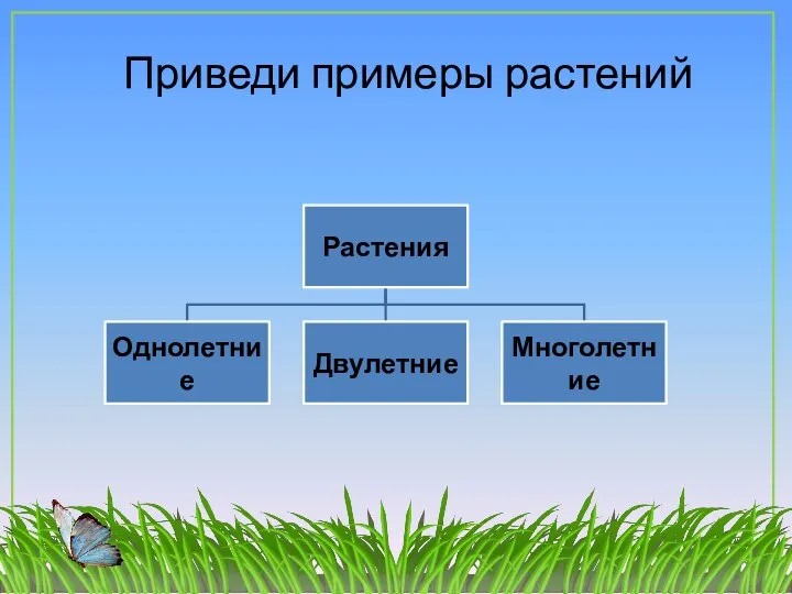 Приведи примеры растений