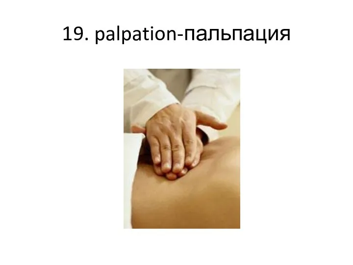 19. palpation-пальпация