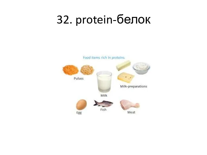 32. protein-белок