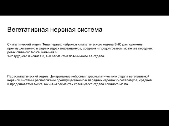 Вегетативная нервная система Симпатический отдел. Тела первых нейронов симпатического отдела ВНС расположены