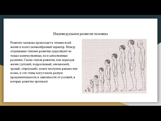 Индивидуальное развитие человека Развитие человека происходит в течение всей жизни и носит