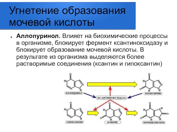 Угнетение образования мочевой кислоты Аллопуринол. Влияет на биохимические процессы в организме, блокирует