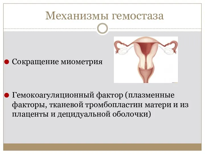 Механизмы гемостаза Сокращение миометрия Гемокоагуляционный фактор (плазменные факторы, тканевой тромбопластин матери и