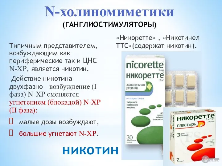 никотин Типичным представителем, возбуждающим как периферические так и ЦНС N-ХР, является никотин.