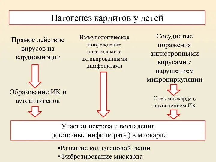 Патогенез кардитов у детей Прямое действие вирусов на кардиомиоцит Иммунологическое повреждение антителами