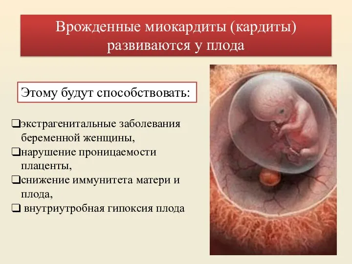 экстрагенитальные заболевания беременной женщины, нарушение проницаемости плаценты, снижение иммунитета матери и плода,