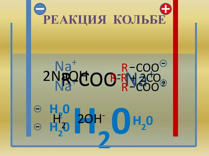 РЕАКЦИЯ КОЛЬБЕ Na R-COO H20 Na+ R-COO- H20 H20 R COO R