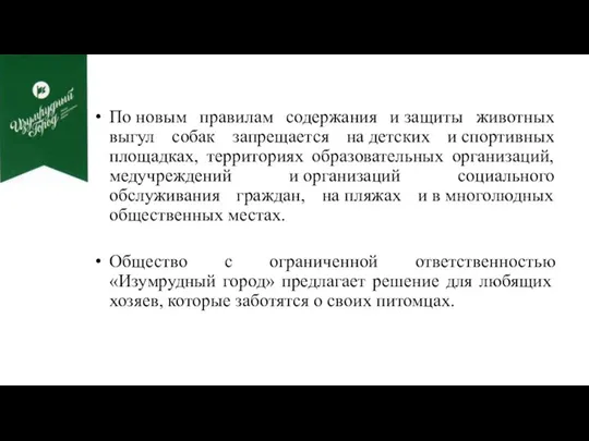 По новым правилам содержания и защиты животных выгул собак запрещается на детских