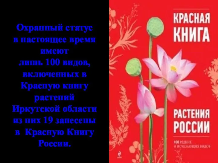 Охранный статус в настоящее время имеют лишь 100 видов, включенных в Красную