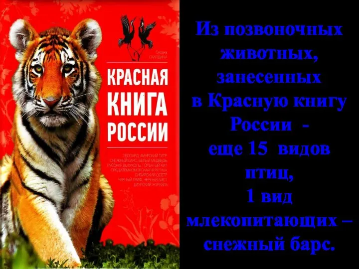 Из позвоночных животных, занесенных в Красную книгу России - еще 15 видов
