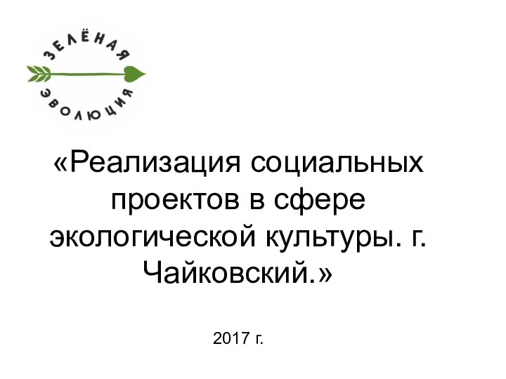Реализация социальных проектов в сфере экологической культуры. г. Чайковский
