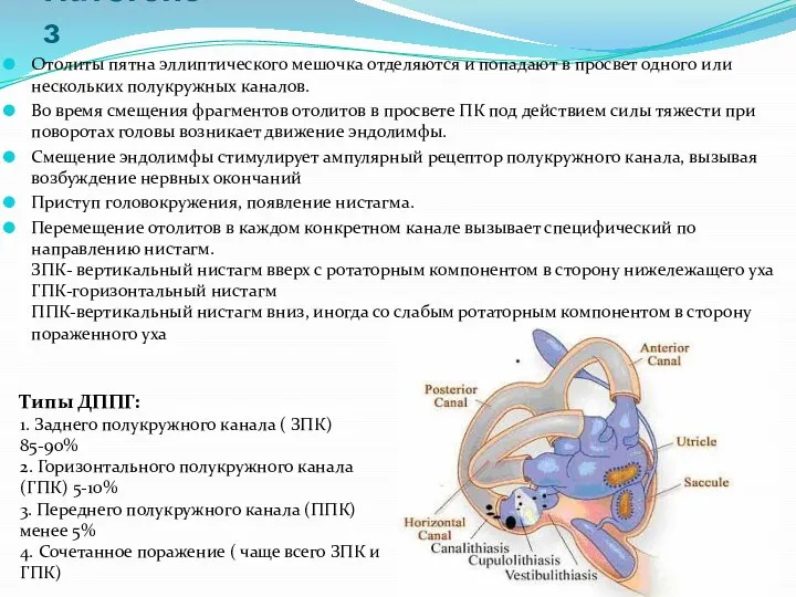 Патогенез Отолиты пятна эллиптического мешочка отделяются и попадают в просвет одного или