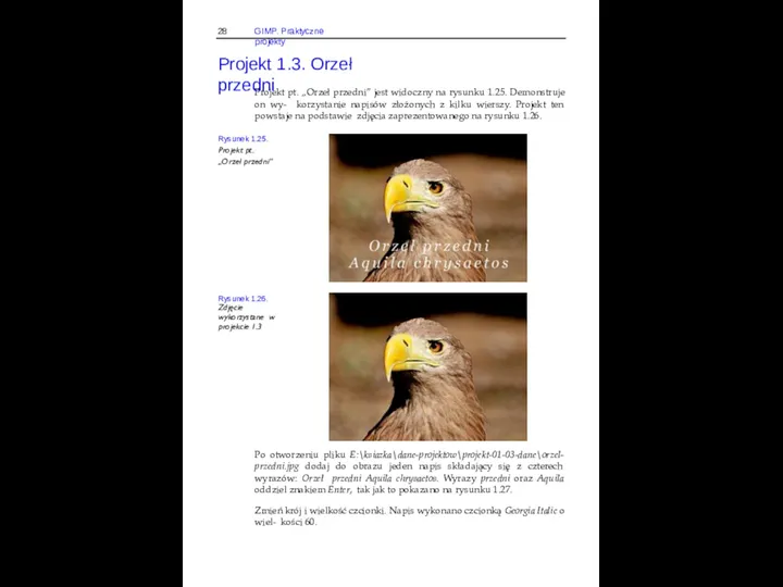 28 GIMP. Praktyczne projekty Projekt 1.3. Orzeł przedni Projekt pt. „Orzeł przedni”