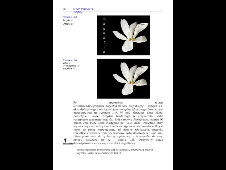 32 GIMP. Praktyczne projekty Rysunek 1.33. Projekt pt. „Magnolia” Rysunek 1.34. Zdjęcie