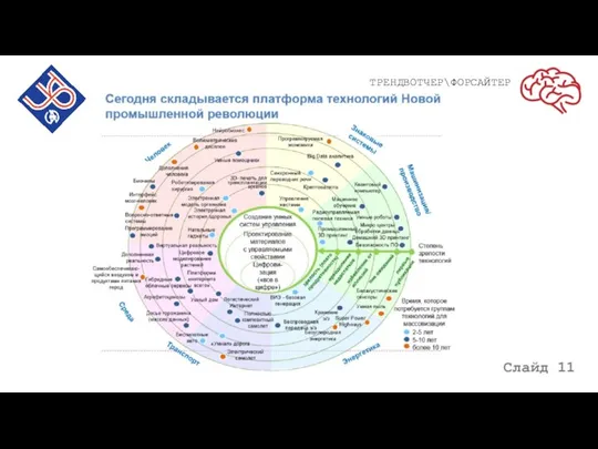 Слайд 11 ТРЕНДВОТЧЕР\ФОРСАЙТЕР