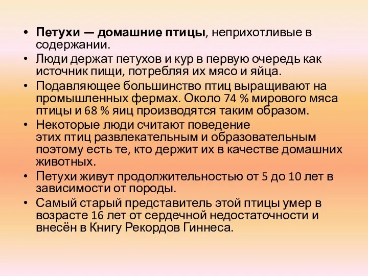 Петухи — домашние птицы, неприхотливые в содержании. Люди держат петухов и кур