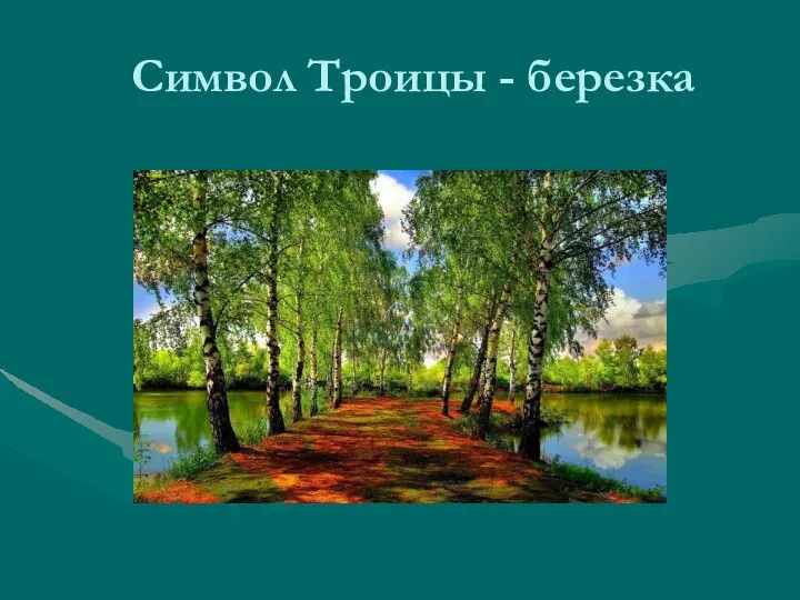 Символ Троицы - березка