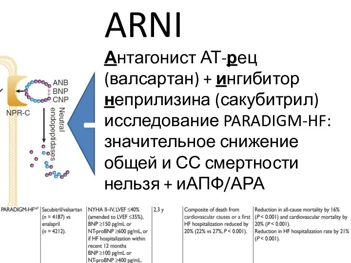 ARNI Антагонист АТ-рец (валсартан) + ингибитор неприлизина (сакубитрил) исследование PARADIGM-HF: значительное снижение